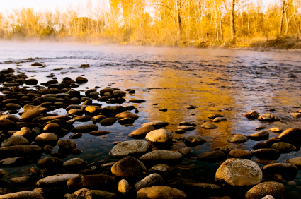 Boise River in Fall